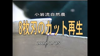 草刈り機用８枚刃のカット再生（自作ツールも紹介）