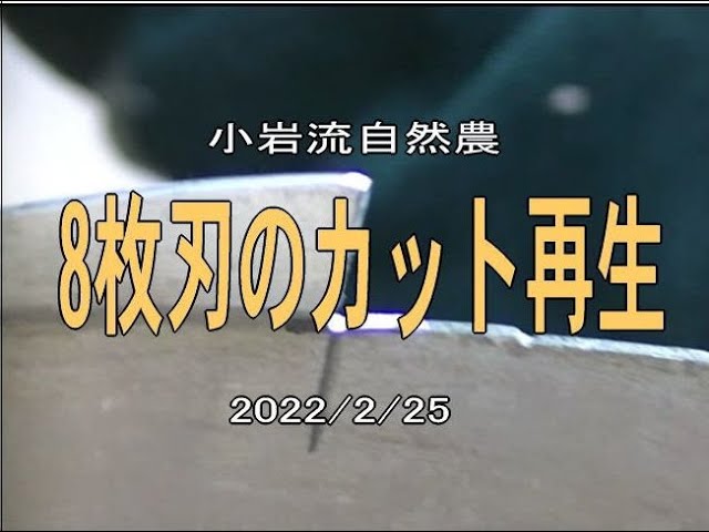 刃研ぎ] 草刈り機の8枚刃 2分で新品同様になる「研ぎ方」[草刈り刃