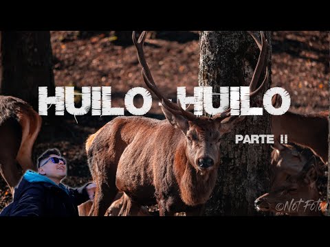 Recorriendo Huilo - Huilo Parte #2  ? |  Portal de los Ciervos  |  Museo | ? ?