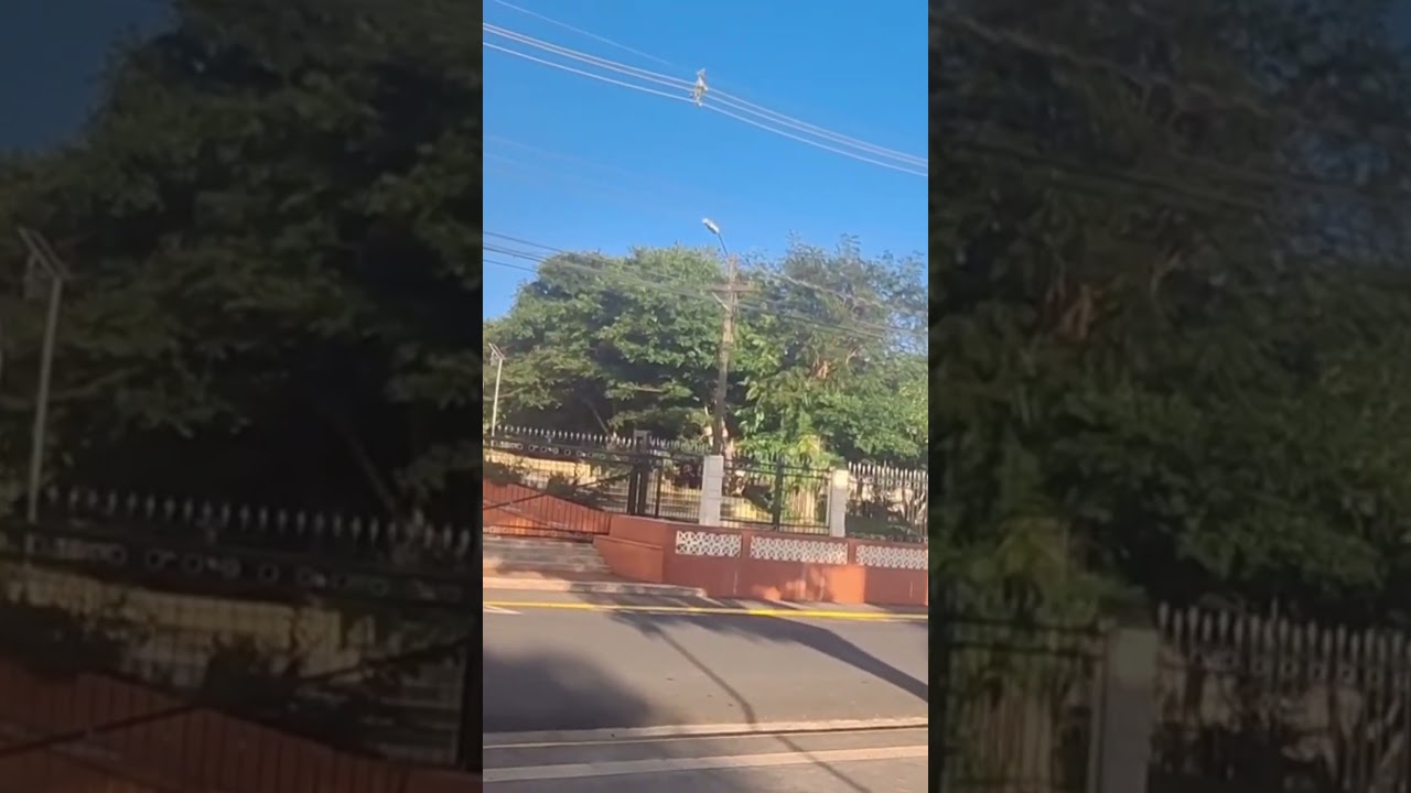 Descubriendo Tarrazú: Su Iglesia y Parque Central