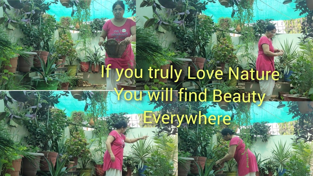 Study Nature,Love Nature and stay close to Nature😊Nature is best ...