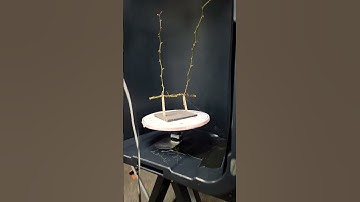 Newest Scan-o-matic in development photogrammetry