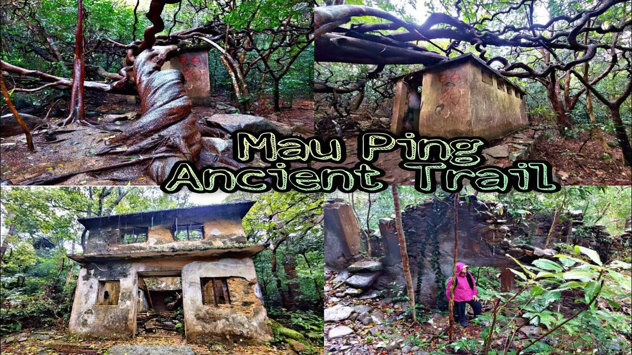 Mau Ping Ancient Trail || Great Twine of Mau Ping 