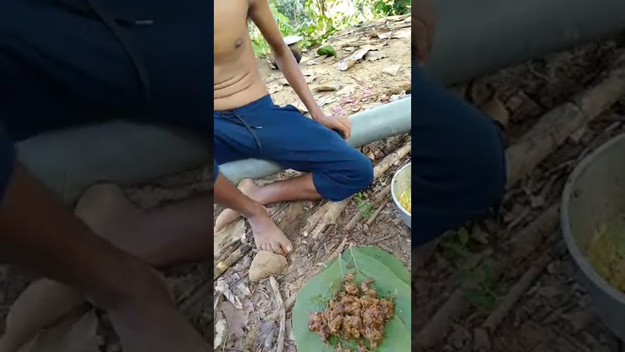 Village people party in the first//forest camping 