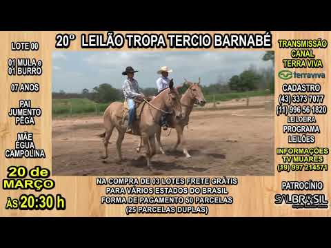 LOTE 00 - 20° LEILÃO TROPA TERCIO BARNABÉ