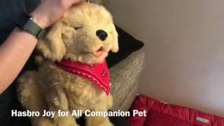 Hasbro's Joy for All Pet, interactive puppy