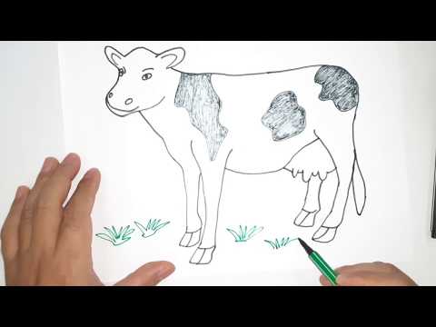 Tô Màu Con Bò Sữa - Drawing and Coloring the dairy cow (Vẽ và tô màu con bò sữa)