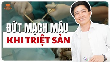 Cách xử lý đứt mạch máu khi triệt sản cái | Học phẫu thuật chó mèo - EduVET