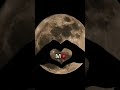 M 💝#shortvideo #love #explore #letter #word