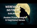WEREWOLF INSTINCTS 𝐬𝐮𝐛𝐥𝐢𝐦𝐢𝐧𝐚𝐥 𝐞𝐱𝐩𝐞𝐫𝐢𝐦𝐞𝐧𝐭 READ DESCRIPTION WEREWOLF INSTINCTS 𝐬𝐮𝐛𝐥𝐢𝐦𝐢𝐧𝐚𝐥 𝐞𝐱𝐩𝐞𝐫𝐢𝐦𝐞𝐧𝐭 READ DESCRIPTION