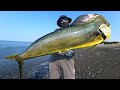 【神回】砂浜から1メートル超えの怪物を狙い続けた執念のドキュメンタリー【釣り・サーフ・ショアジギング・弓羽・HartDesign・ハートデザイン】
