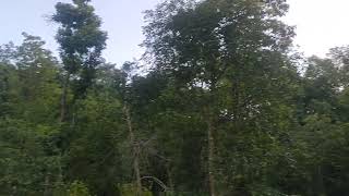 we reached this beautiful place but please don't throw garbage here