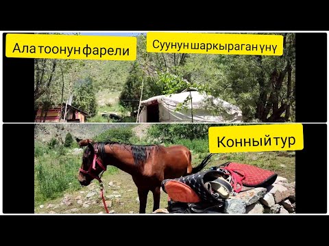 Video: Далластан эң мыкты күндүк саякаттар