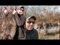 Operation BEAVER ERADICATION  (Beaver Trapping 2020)