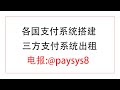 日本支付平台定制-专业技术团队定制个人支付平台