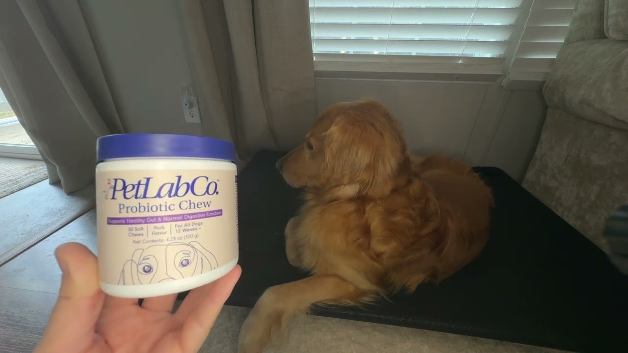 PetLab Probiotics Chew Gut Health Support