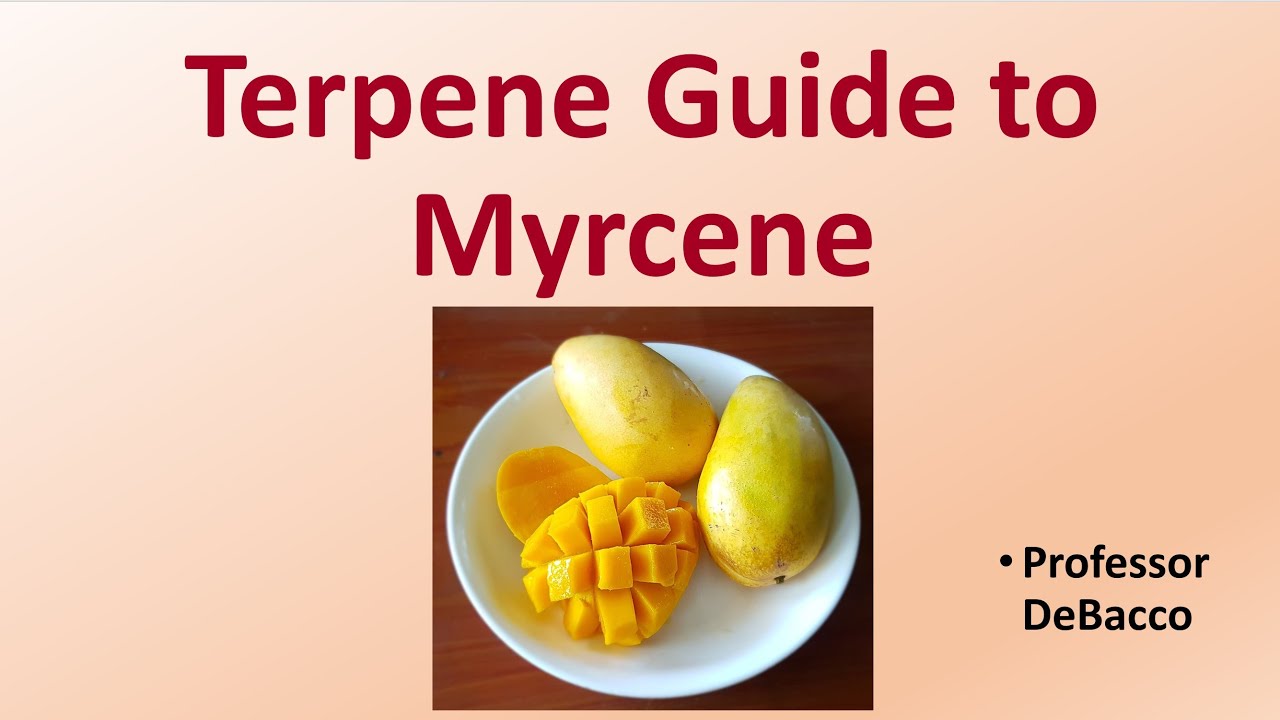 Terpene Guide to Myrcene