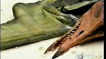 Walking With Dinosaurs Cruel Sea (American Version) Part 10