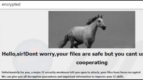 Horsemoney (Phobos) ransomware removal video.