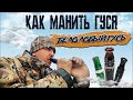 Как манить гуся | Духовой манок на белолобого гуся