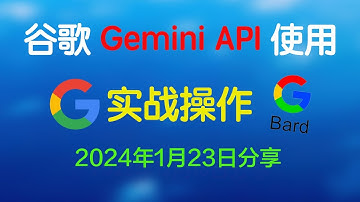 免费使用谷歌Gemini Pro  | 如何创建Google API Key | Gemini API调用使用教程