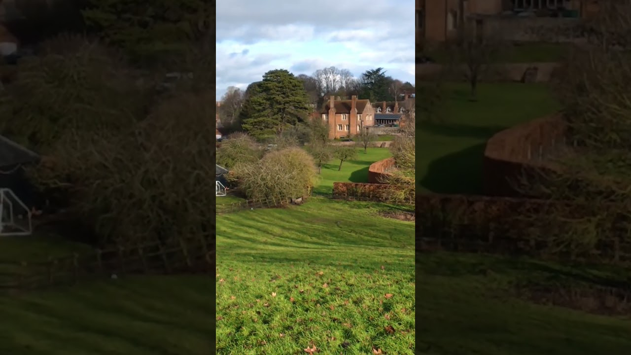 Счастливый кролик убегает, спасая свою жизнь 