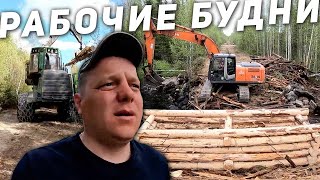 видео: Как на Севере строим Мост через ручей | Вахта постройки мостов в лесу картинка: Как на Севере строим Мост через ручей | Вахта постройки мостов в лесу