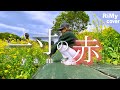 【新曲フル】yama - 一寸の赤 セブン-イレブンオリジナルアニメ『レインボーファインダー~ときめきは、すぐそばに。~』第3話 提供楽曲( Coverd by RiMy)