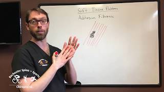 Soft Tissue Problems: Adhesion Fibrosis screenshot 5