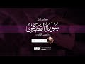 مجالس تدبر سورة القصص المجلس الثامن باسل مؤنس رحمه الله 
