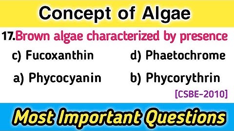 Algae - Algae mcq questions - Plant Kingdom mcq
