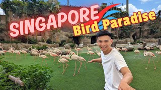 Singapore Mandai Bird Paradise | Things To Know Before Going to Asia's Largest Bird Park