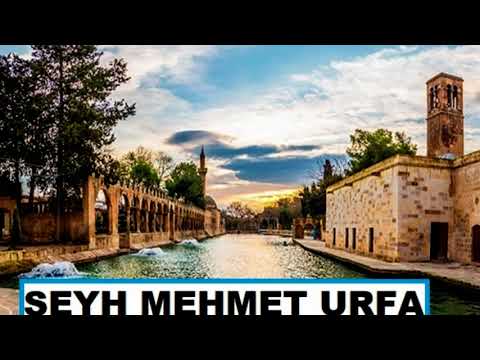 Vay Nefse - Şeyh Mehmet Urfa 2