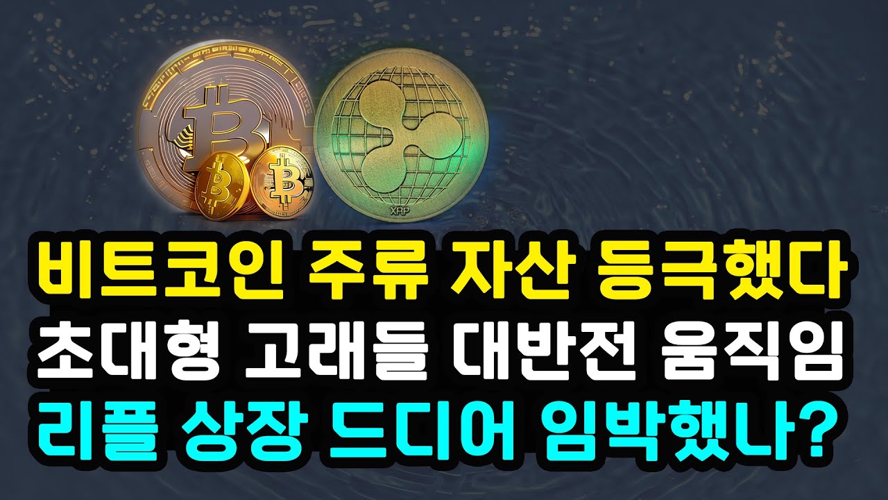 비트코인 리플 가상자산 제도권 편입 통한 주류 자산 등극? 가짜 뉴스에 보인 초대형 고래들 움직임 / 바이든 대통령 이스라엘 전격 방문