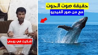 حقيقة صوت الحوت الأزرق الذي أفزع الناس على شواطئ ليبيا ومصر