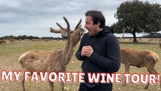 A Tour of Bodegas Arzuaga Navarro: The Best Wine Tasting Experience in Madrid