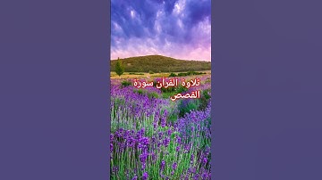 تلاوة القرآن سورة القصص