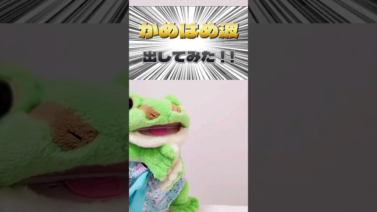 かめはめ波出してみた♪#カエル#コケロミン#ケロミン#電子楽器#やって 
