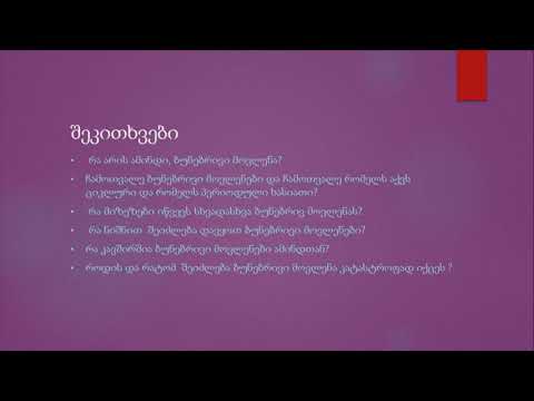 დედამიწა და გარესამყარო თამილა შუკაკიძე