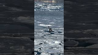 Person Taking a Selfie Video While Messing Around Broken Ice
