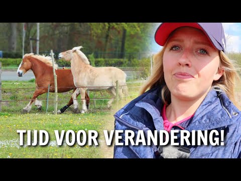 Video: Is je paard gelukkig?