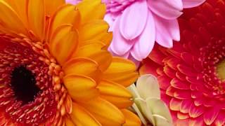 432hzの効果と落とし穴 432hzの効果と落とし穴