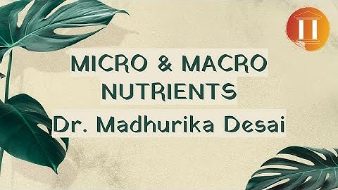 NTA UGC NET JRF | Yoga Paper 2 | Diet & Nutrition - Macro & Micro Nutrients [English]