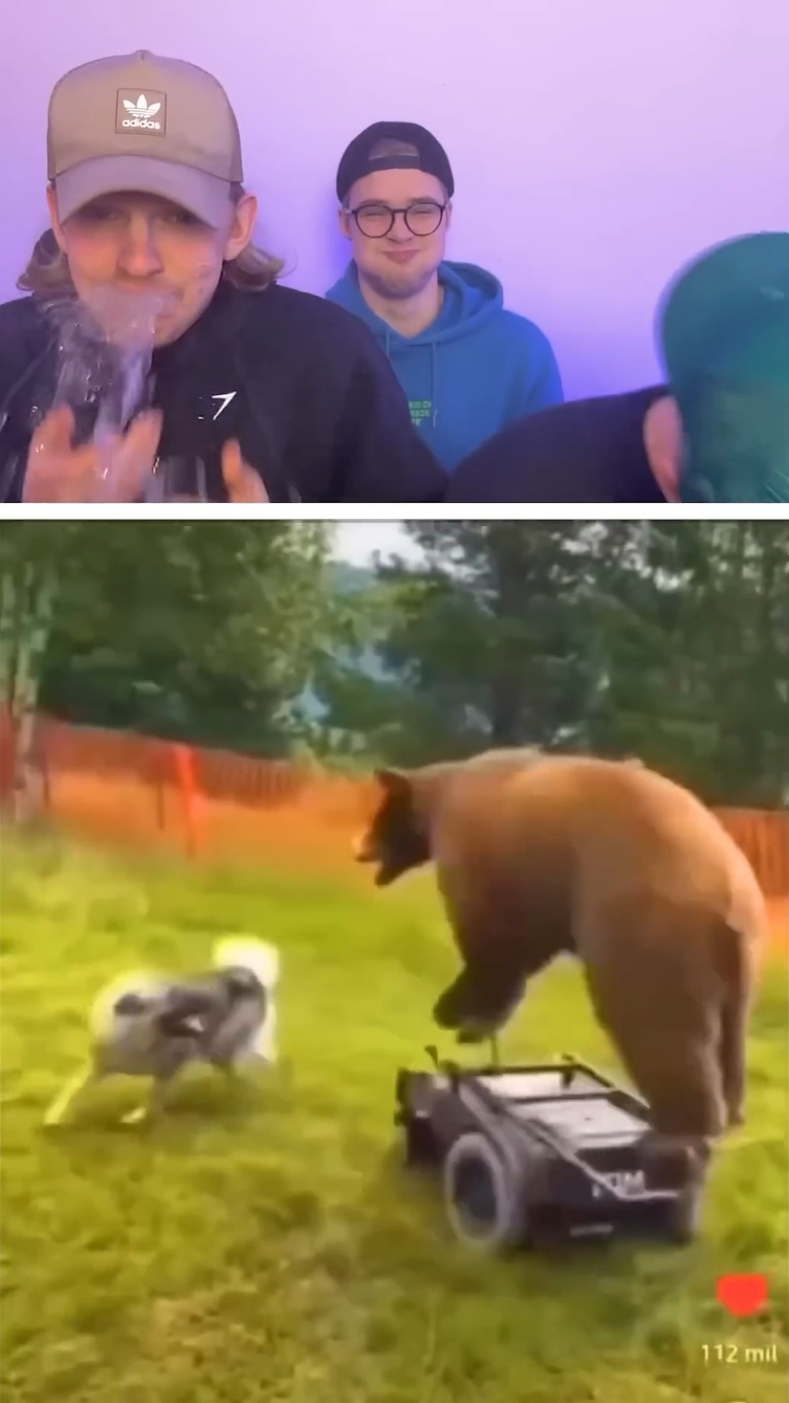 Best laughs of 2024 ??