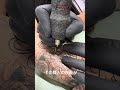 簡単に見える?
