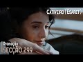 Cativeiro ( Esaret ) Secção 299 en Portuguese - Promoção #romancesturcas #seriesturcas #Cativeiro