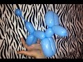 Balloon Dog Twisted in 20 Seconds (behind my back!)