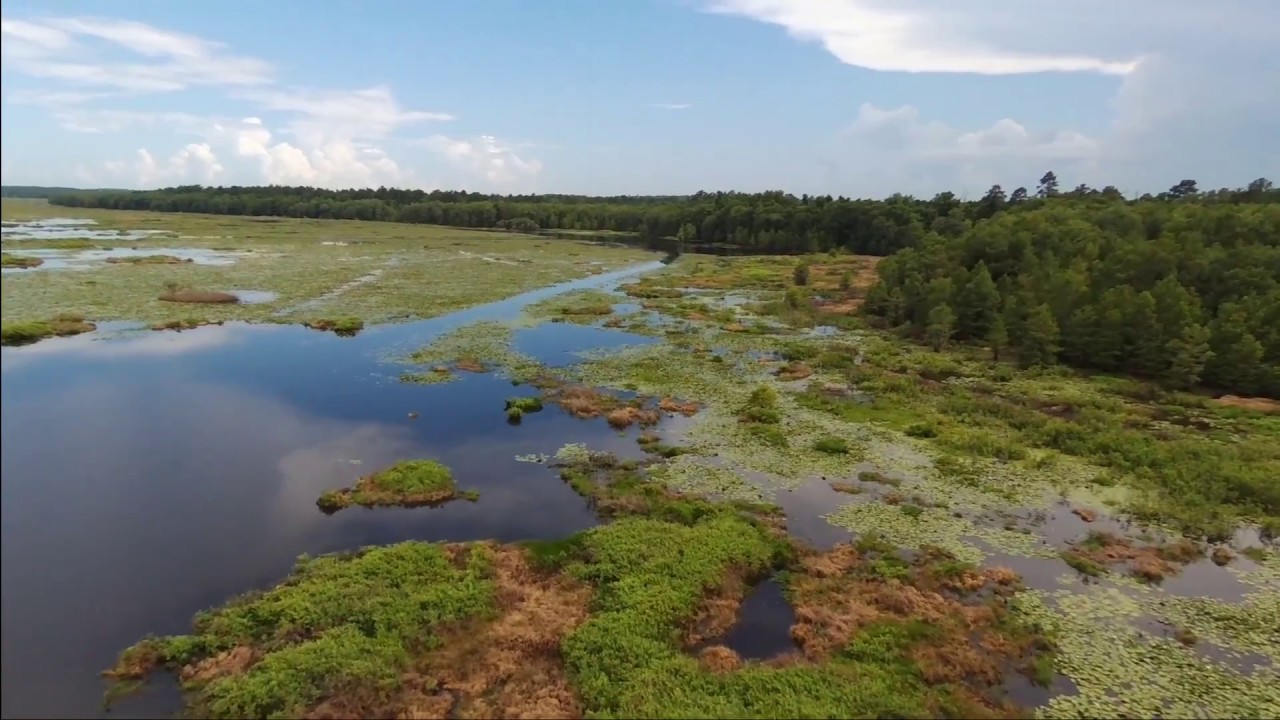 Lake Miccosukee Aerial View YouTube