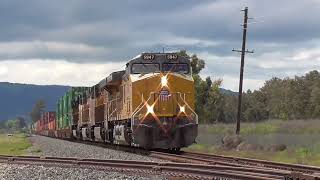 Railfanning from 3/23/24  4/11/24 w/ ACE, UP, Caltrain, Amtrak, Horn Shows, and More!