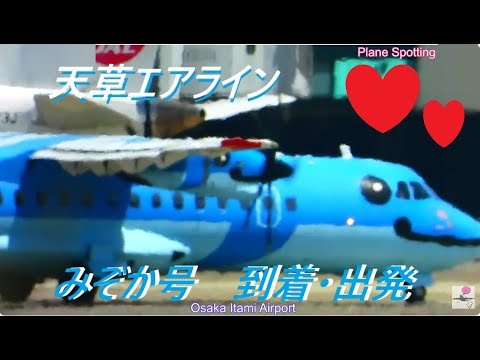 天草エアライン・みぞか号生中継!伊丹空港!! Plane Spotting Osaka Itami Airport 08/20/2025